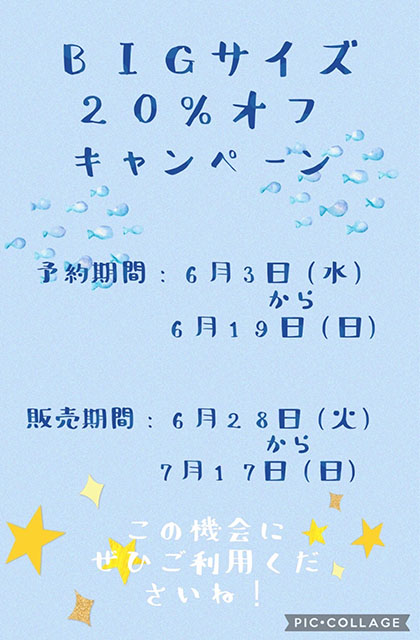 お待ちかね夏のスペシャル企画